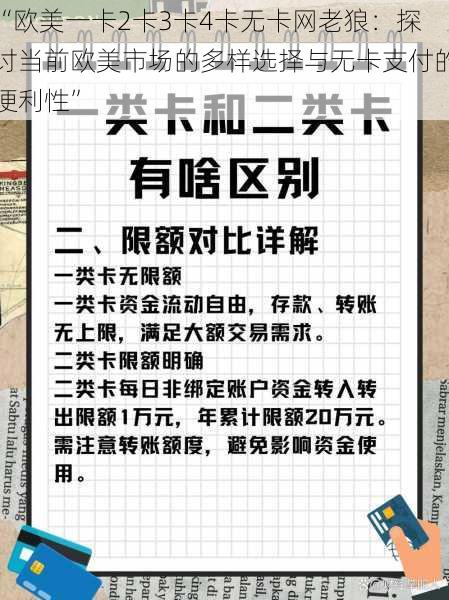 “欧美一卡2卡3卡4卡无卡网老狼：探讨当前欧美市场的多样选择与无卡支付的便利性”