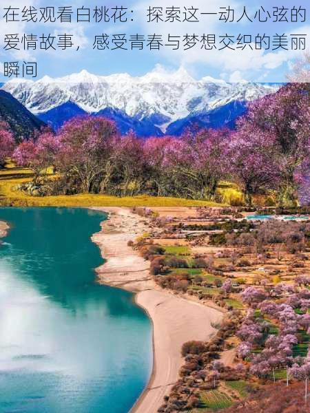 在线观看白桃花:探索这一动人心弦的爱情故事,感受青春与梦想交织的美丽瞬间
