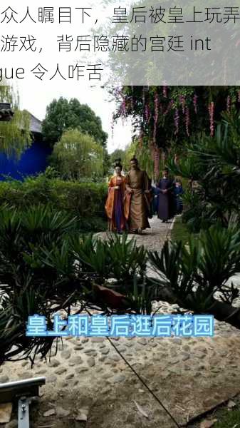 在众人瞩目下，皇后被皇上玩弄权力游戏，背后隐藏的宫廷 intrigue 令人咋舌