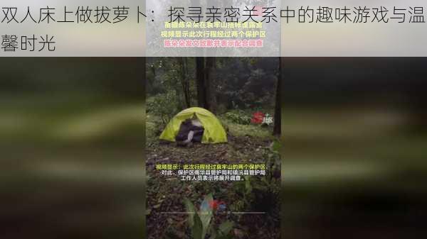 双人床上做拔萝卜:探寻亲密关系中的趣味游戏与温馨时光