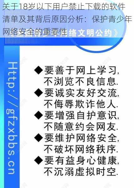 关于18岁以下用户禁止下载的软件清单及其背后原因分析:保护青少年网络安全的重要性