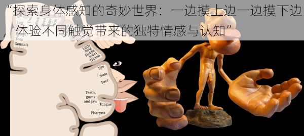 “探索身体感知的奇妙世界:一边摸上边一边摸下边,体验不同触觉带来的独特情感与认知”