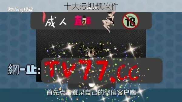 十大污视频软件