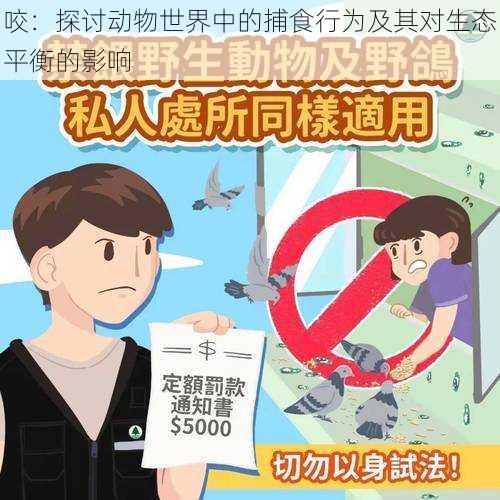 咬:探讨动物世界中的捕食行为及其对生态平衡的影响