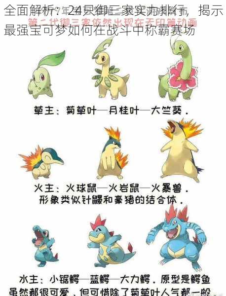 全面解析:24只御三家实力排行,揭示最强宝可梦如何在战斗中称霸赛场